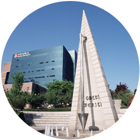서강대학교