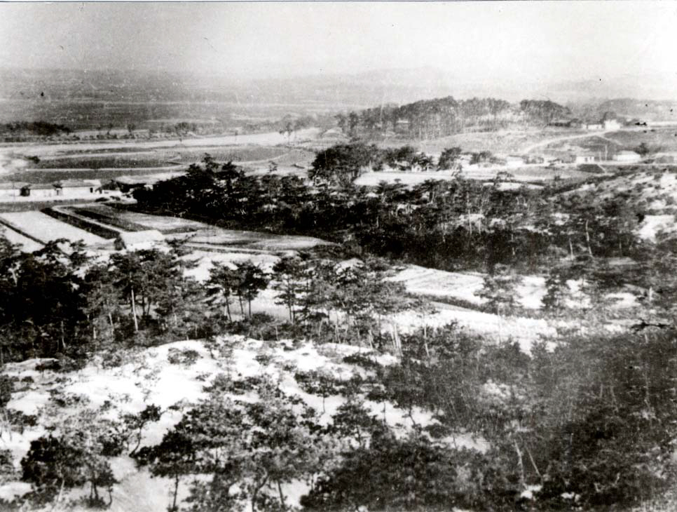 인촌부락 전경